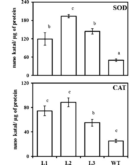 Enhanced Enzymatic Activity Of Superoxide Dismutase Sod And Catalase Download Scientific