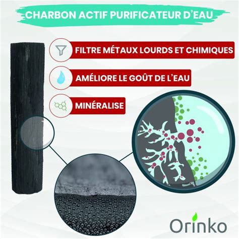 Binchotan Japonais De TOSA X6 Charbon Actif Pour Purifier L Eau