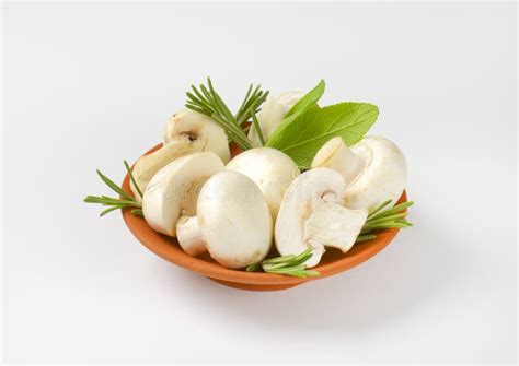 Fresh Button Mushrooms And Culinary Herbs Stock Image Image Of