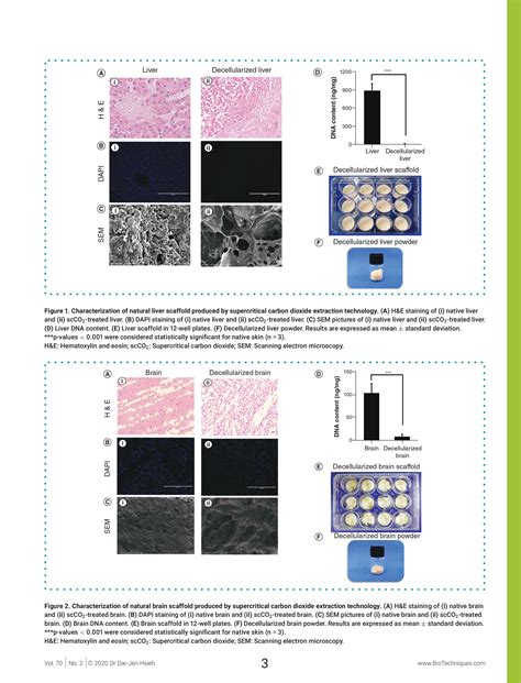 Protocols For The Preparation And Characterization Of Decellularized