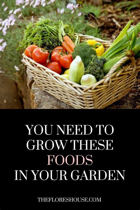 The Best Survival Foods To Grow In 2023 Artofit