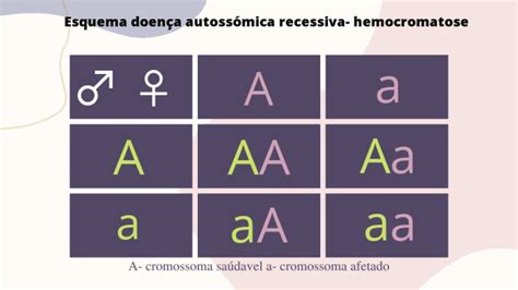 O Que Significa Recessiva - Esquema ilustrativo da herança autossômica recessiva da hemocromatose ...