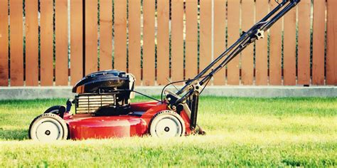 Best Lawn Mowers For Small Yards Which Is Best For You