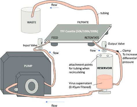 Graphical Representation Of The TFF Setup TFF Tangential Flow