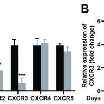 Cxcr Exhibited A Low Level In Sni Mice A The Mrna Expressions Of