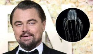 Leonardo DiCaprio Es Picado Por Una Medusa Durante Sus Vacaciones En Italia