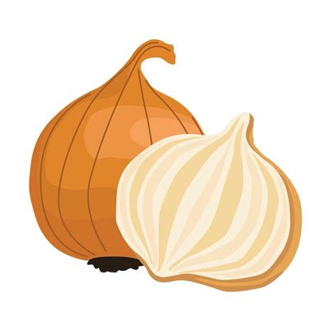 Premium Vector Onion Fresh Vegetable Icon Isolated Design