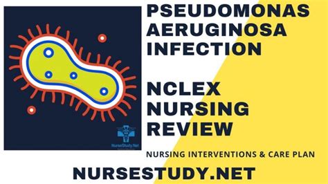 Pseudomonas Aeruginosa Nursing Diagnosis & Care Plan - NurseStudy.Net