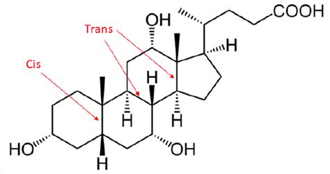 49 Conformations Of Polycyclic Molecules Chemistry Libretexts