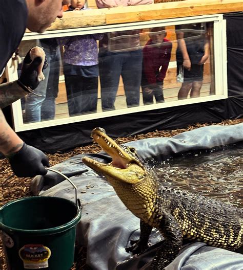 Idaho Reptile Zoo | Garden City ID