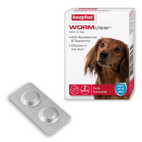 Roundworms Vs Tapeworms In Dogs Roundworms In Puppies And Dogs