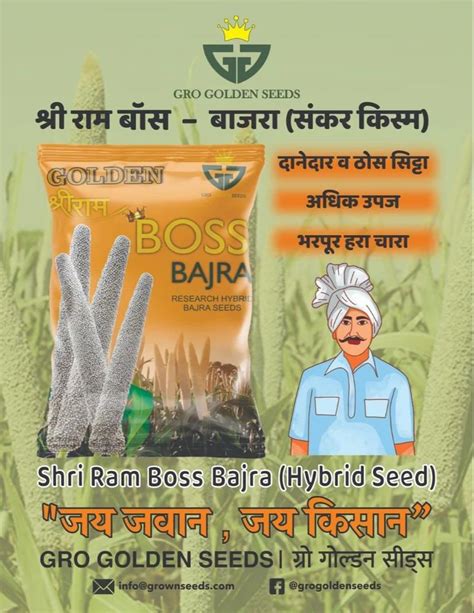 Natural Shriram Bajra Hybrid Seeds Packaging Type Pp Bag Packaging