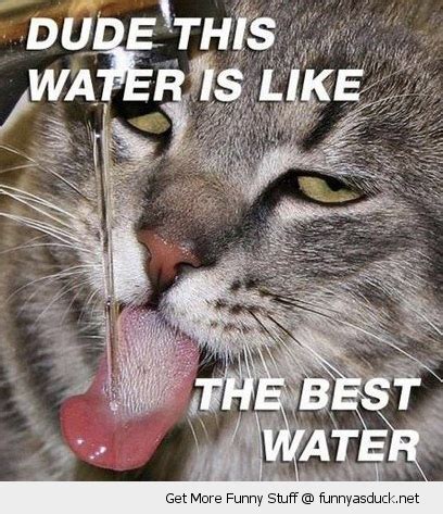 Funny Quotes About Drinking Water. QuotesGram