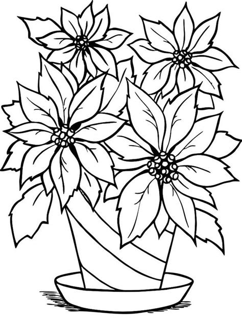 Poinsettia Drawing Outline at PaintingValley.com | Explore collection ...