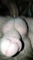 I Fuck Free Gay Anal Porn Video 1b XHamster