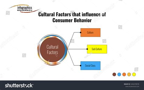 Info Graphic Template About Cultural Factors Stock Vector Royalty Free