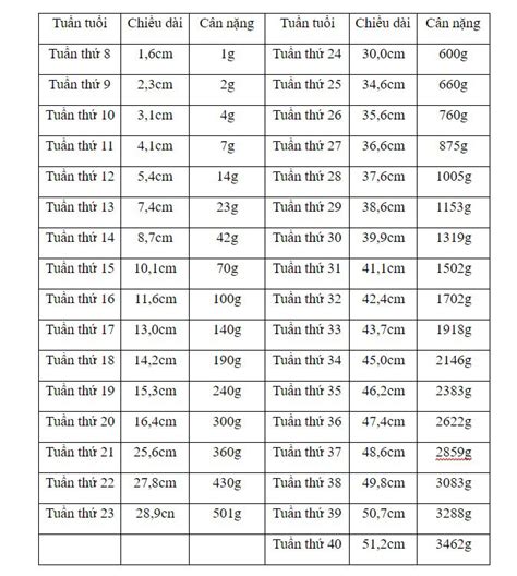 Bảng cân nặng thai nhi theo tuần tuổi chuẩn quốc tế 2021