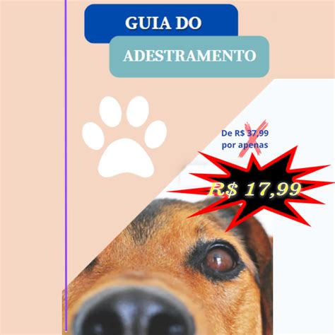 Dom Nio Canino Um Guia Completo De Adestramento Para O Seu Melhor