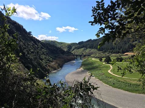 Manawatu Gorge Track Manawatu Wanganui Trails Photo Gallery Wild