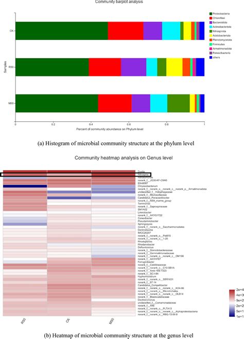 Graphical representation of microbial community structure at the phylum ... 