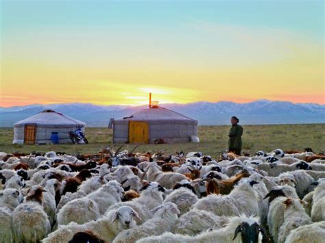 Sonnenaufgang In Der Mongolei Nomaden Projekt Projects Abroad De