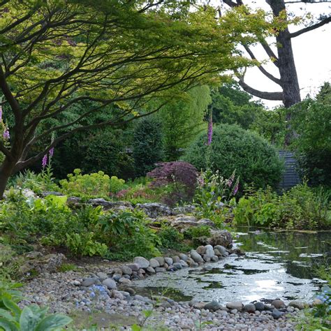 Woodland Garden Ideas For Small Gardens - Infoupdate.org