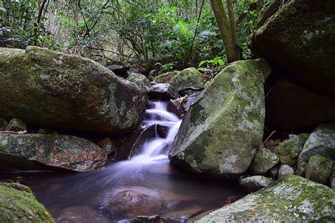 Trilhas Em Floripa Aventuras Inesquec Veis