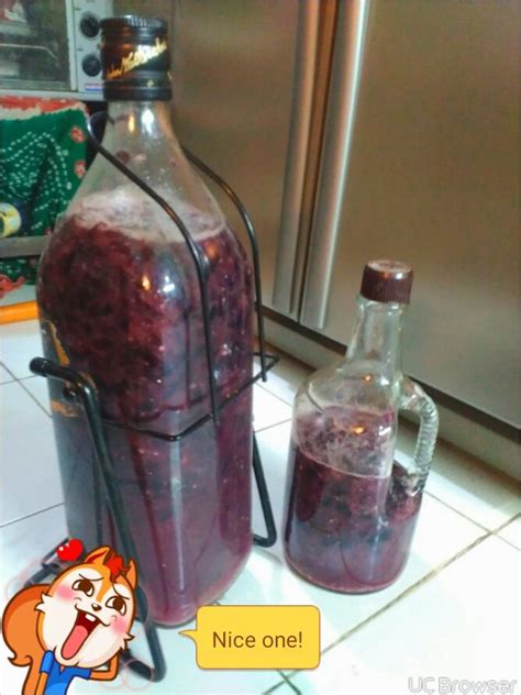 How To Make Homemade Wine A Beginners Guide Artofit