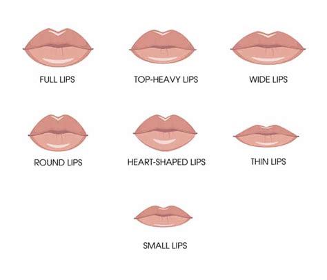 Types Of Lips Chart Infoupdate Org