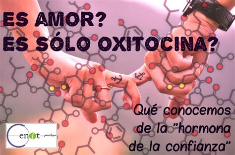 ¿cómo Funciona La Hormona De La Confianza U Hormona Del Amor Oxitocina Amor Amor En El