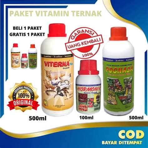 Jual Paket Budidaya Burung Puyuh Bayar Di Tempat B Jaminan Uang Kembli