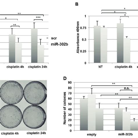 Mir B Enhances Cisplatin Sensitivity In Breast Cancer Cell Lines A