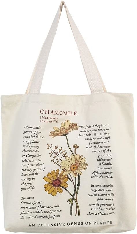 Amazon BROADREAM Canvas Tote Bag Aesthetic Zippered Book Tote