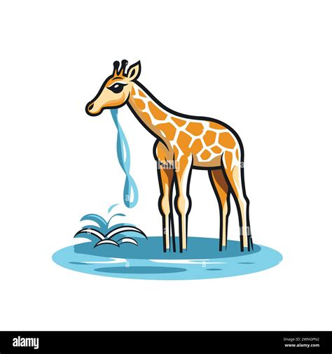 Giraffe drinking water from a puddle. Vector illustration Stock Vector ...