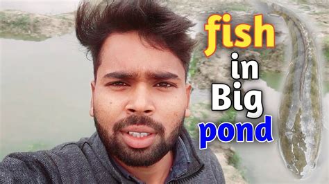 A New Vlog Best Fish Video मछली पकड़ने का आसान तरिका My Village