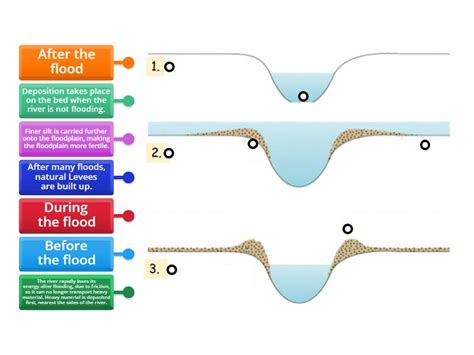 Formation of a Levee - Labelled diagram