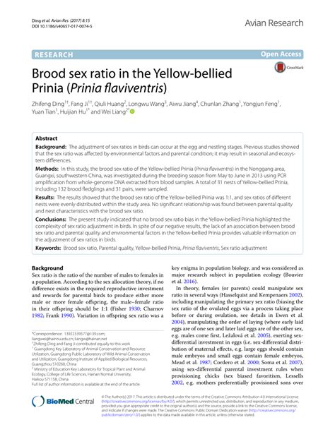 PDF Brood Sex Ratio In The Yellowbellied Prinia Prinia Flaviventris