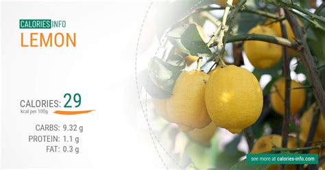 Sale > calories in water with lemon > in stock