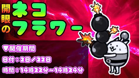 にゃんこ大戦争 ネコボンバー 開眼のネコフラワー襲来 1 ネコフラワー進化への道 初級 ┊ Ex開眼ステージ 0 ┊ 低レベル 無