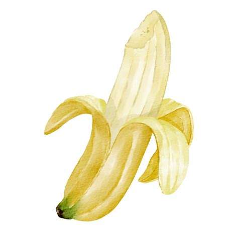 Watercolor Banana Clip Art Element 16548275 Png