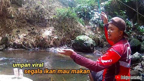 Mancing Ikan Wader Menggunakan Wader Lite Umpan Jitu Ikan Wader Youtube