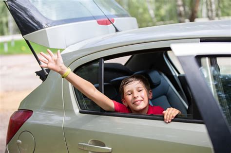 Verkehr NÖ Ab in Herbstferien So kommen Sie mit Kind und Tier