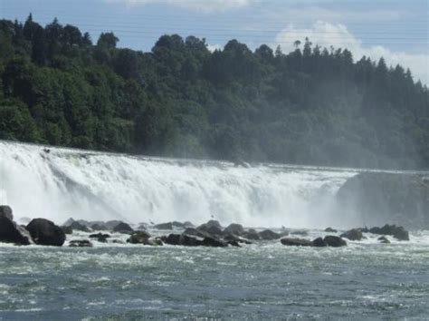 Willamette Falls (Oregon City) - All You Need to Know Before You Go ...