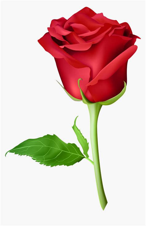 Picsart Rose Png Hd Transparent Png Kindpng