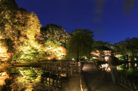 徳川園（錦を纏う紅葉祭）名古屋市東区の観光・撮影スポットの名所 東海カメラマップ