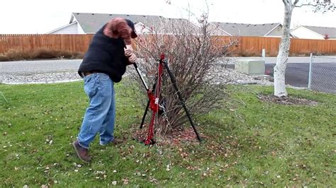 How To Remove Shrubs The Easy Way Youtube