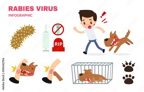 Rabies Cartoon Infographic Hydrophobia Infographic Vector