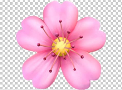 Emojipedia Flower Emoji Domain PNG