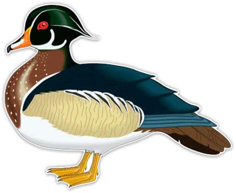 Waterfowl Duck Decals