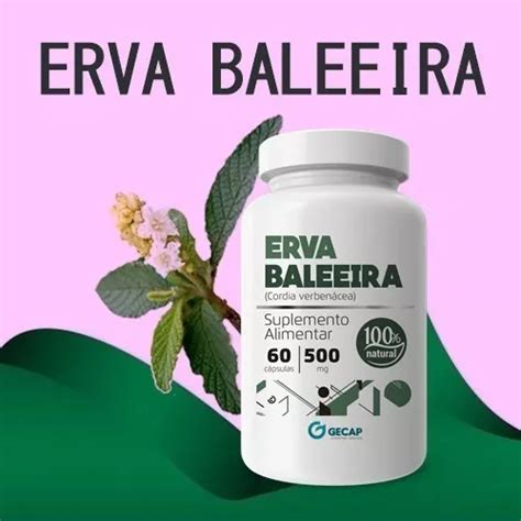 Erva Baleeira C Psulas De Mg Pura Mercadolivre